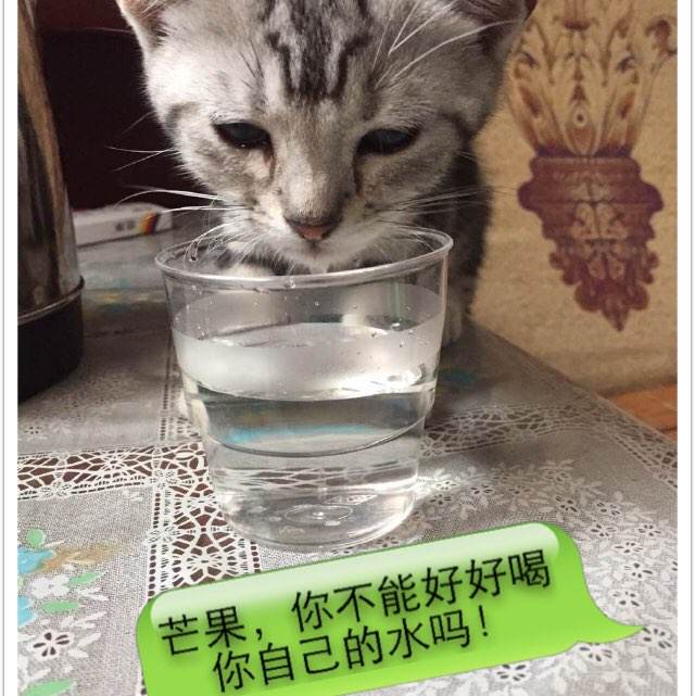 基尔应用技术大学留信网认证办理